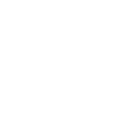 Printing icon